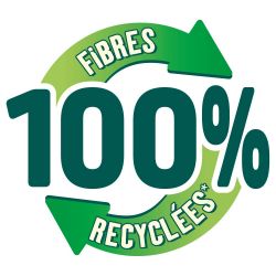 Gratte-Eponge Efficace et Durable x2