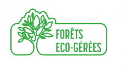 Gratte-Eponge Efficace et Durable x2