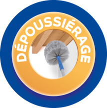 Manche télescopique